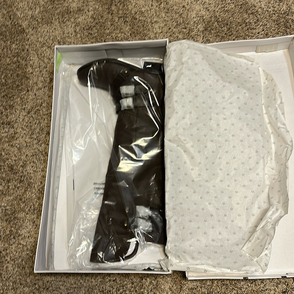 NIB Dolce Vita Boots